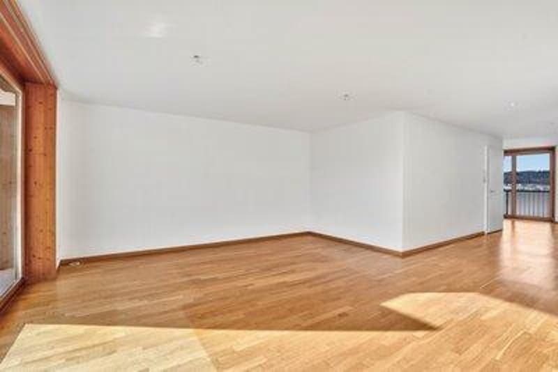 Wohnkomfort trifft gute Lage  4.5 Zimmerwohnung in St. Gallen Haggen (5)
