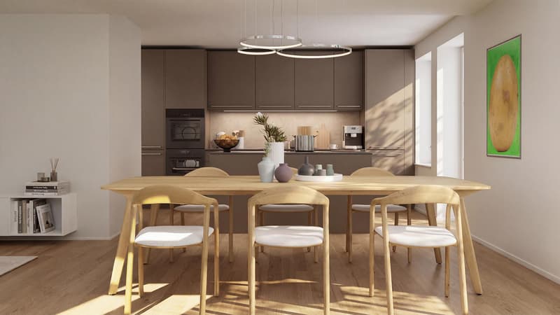 Appartement de rénovation 2,5 pièces avec intimité à Lüterswil (Bucheggberg) (2)