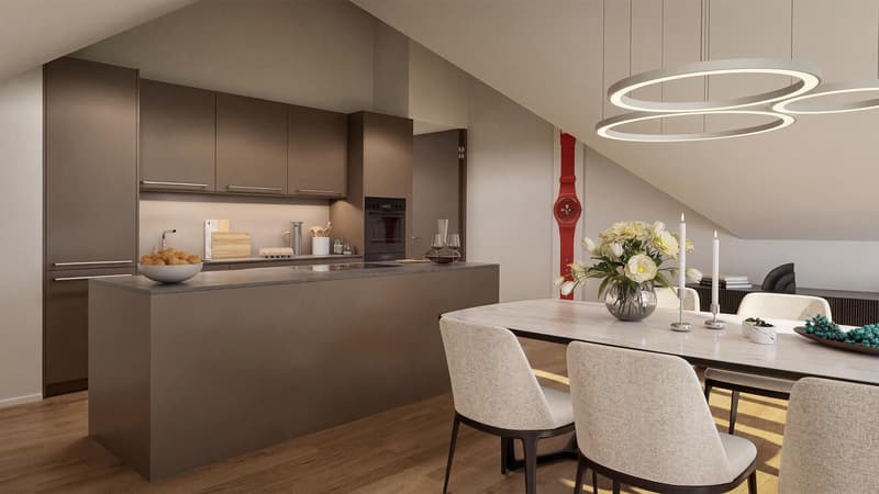 Appartement neuf de 4,5 pièces avec vue panoramique à Lüterswil (Bucheggberg) (7)