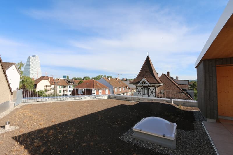 RESERVIERT: Exklusive 3.5 Zimmer Attika Wohnung mit Studio und grossem Dachgarten (17)