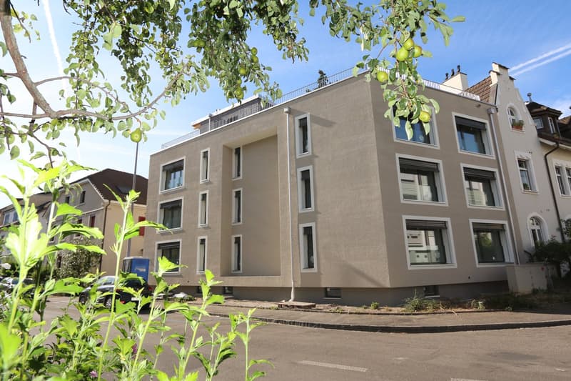 RESERVIERT: Exklusive 3.5 Zimmer Attika Wohnung mit Studio und grossem Dachgarten (18)