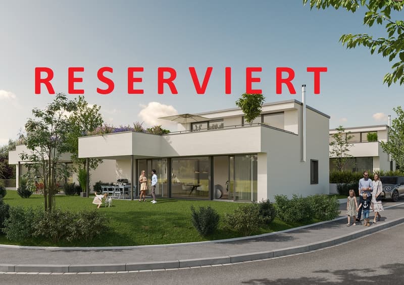 NEUBAU: Modernes freistehendes EFH mit Tiefgarage in Möhlin (1)