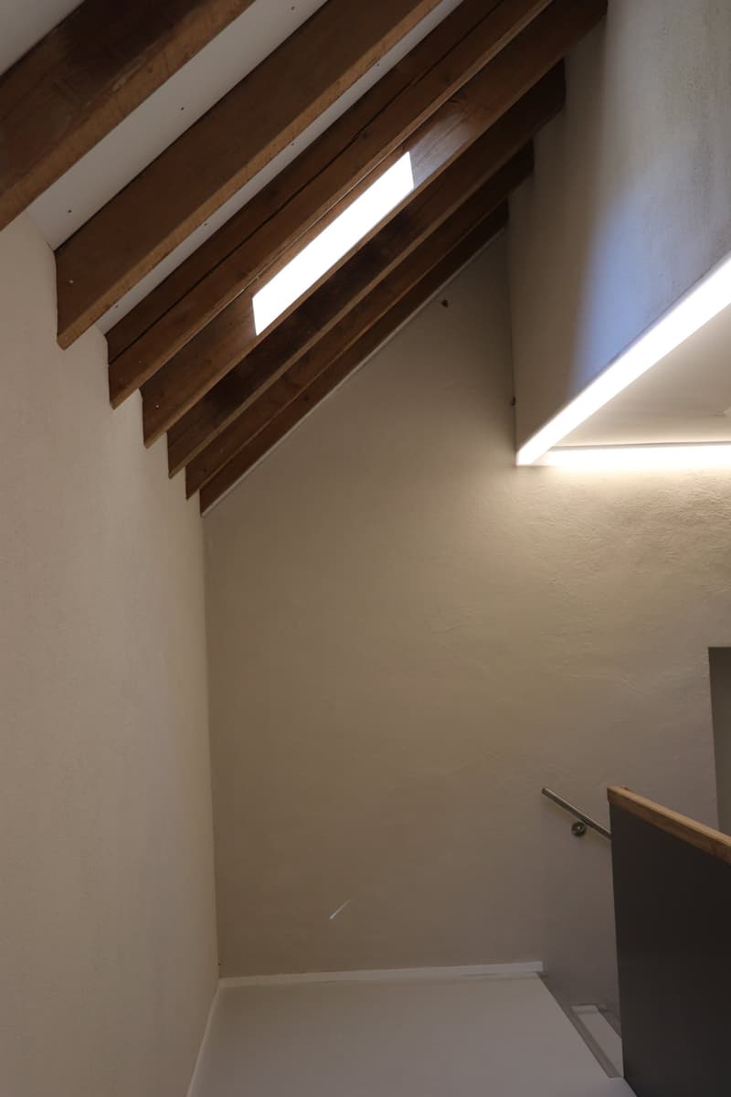 Gemeinsames Arbeiten / Wohnen unter einem Dach in Hölstein (10)