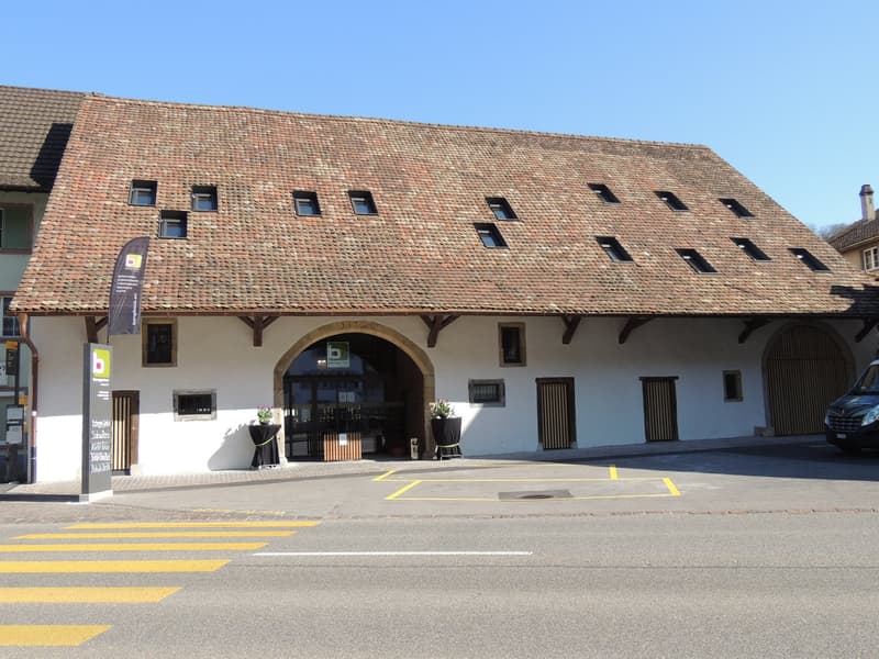 Gemeinsames Arbeiten / Wohnen unter einem Dach in Hölstein (1)