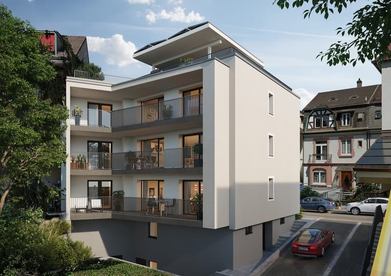 Exklusive 4.5-Zimmer-Maisonette-Wohnung in Birsfelden - nach kompletter Kernsanierung (4)