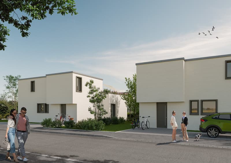 NEUBAU: Modernes freistehendes EFH mit Tiefgarage in Möhlin (4)