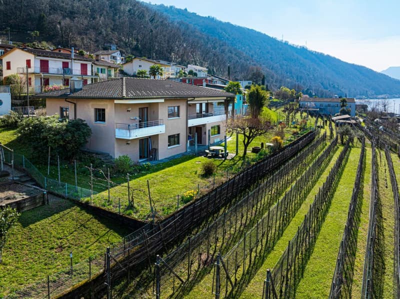 Villa Serena (40)