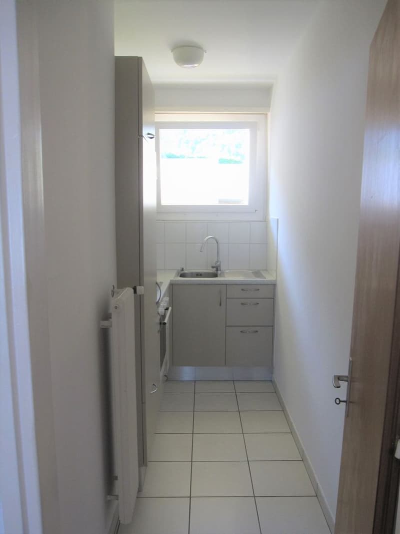 Grazioso appartamento di 1.5 locale vicinanze Lago Maggiore (7)