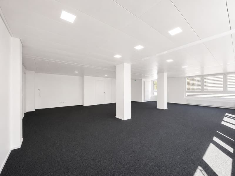 Interessantes Geschäftslokal zur Nutzung als Büro (4)
