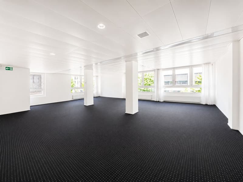 Interessantes Geschäftslokal zur Nutzung als Büro (1)