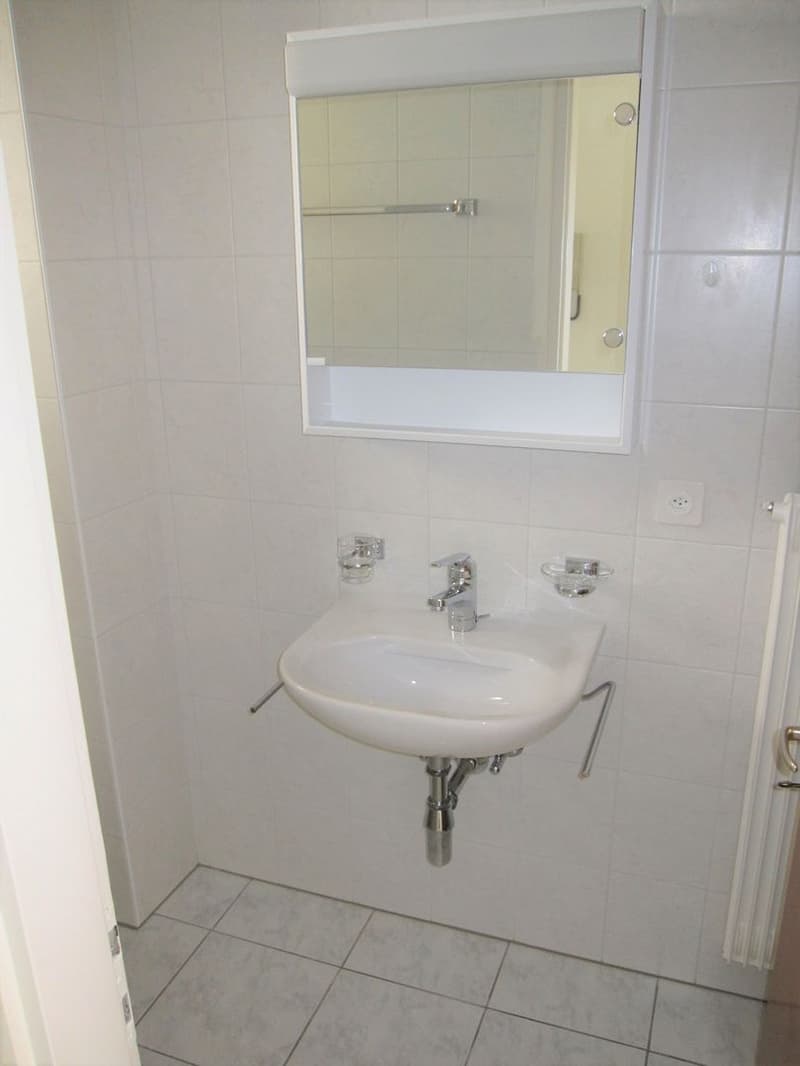 Charmante 1.5-Zimmer-Wohnung in der Nähe des Lago Maggiore (10)