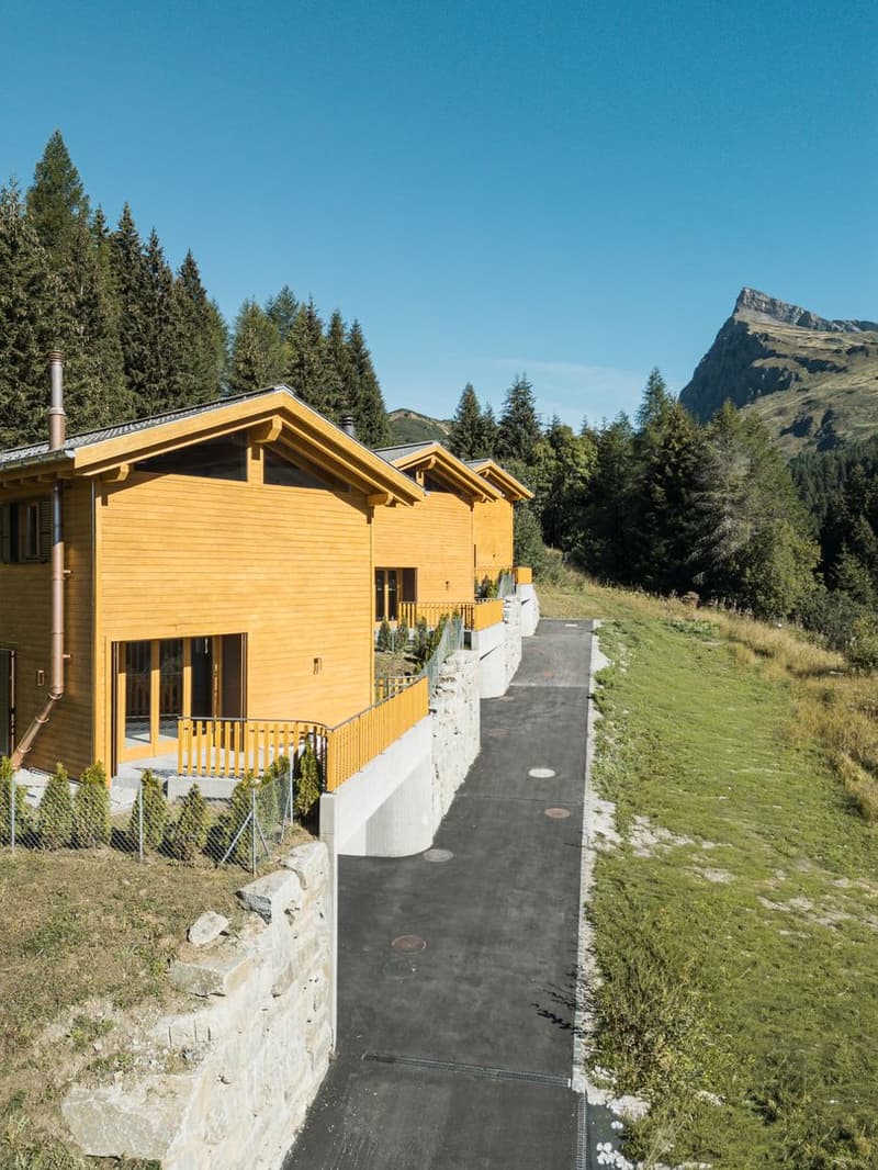 Private Chalet Silva (25)