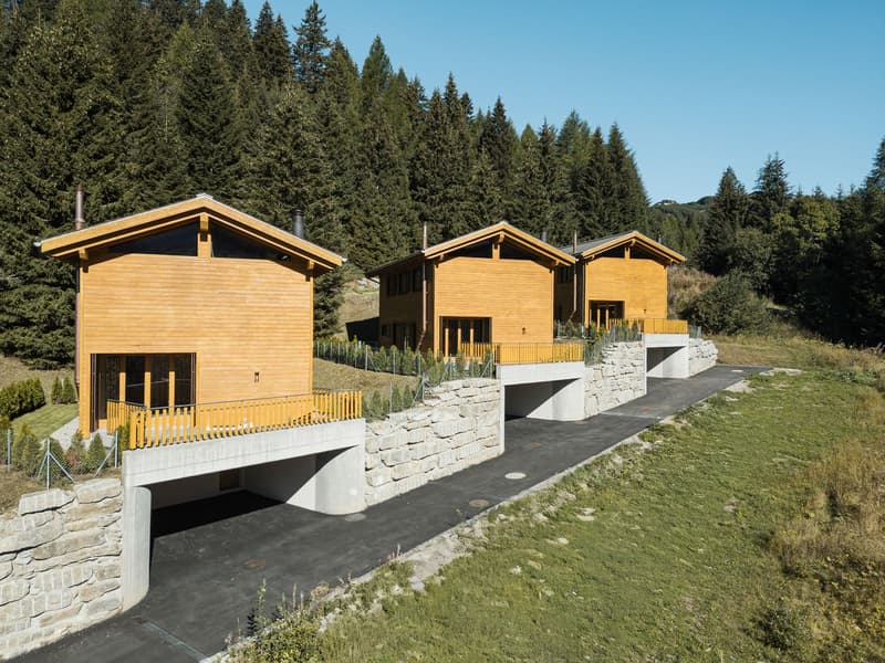 Private Chalet Silva (1)