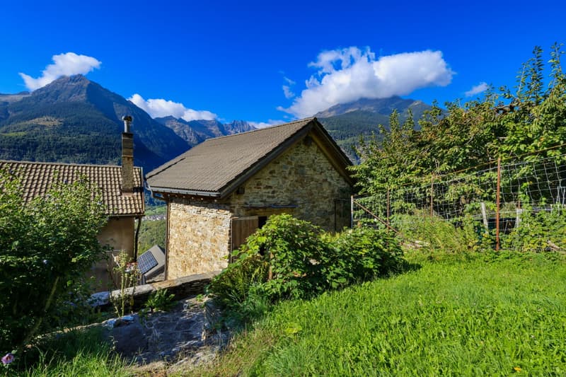 Rustico Oasi (3)
