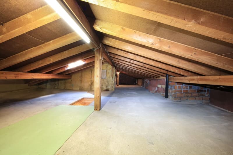 Haus Rosa (14)