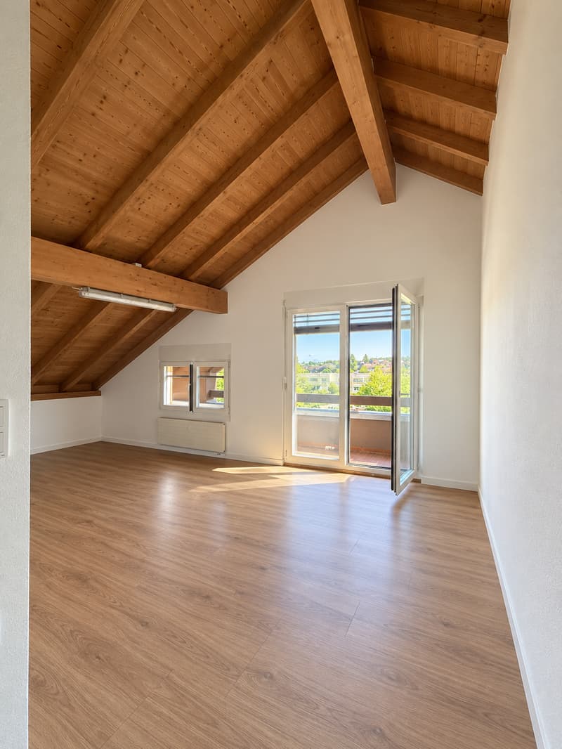 Charmantes Dachgeschoss-Studio mit Balkon in Reinach (1)