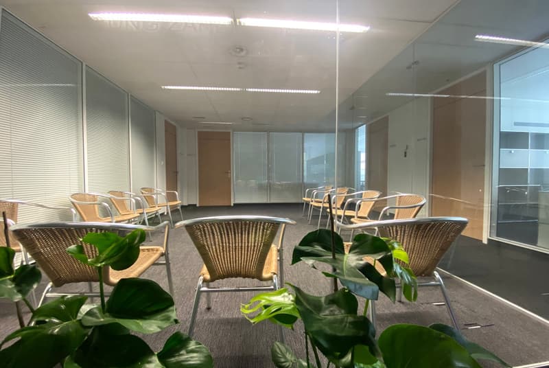 Large open office space with glass walls, wicker chairs, and potted plants. The space appears to be used for meetings or conferences, with ample seating and natural lighting.