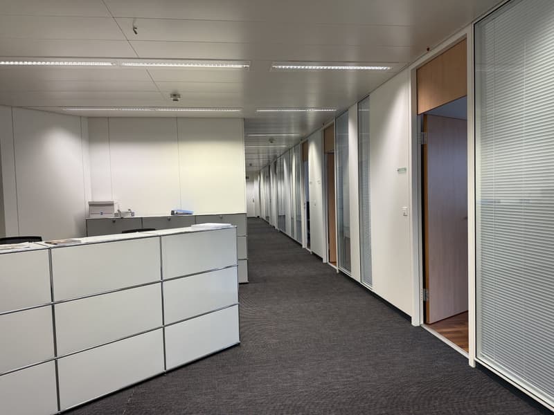 Empty office corridor with white walls, gray carpet, glass doors, and white cabinets.