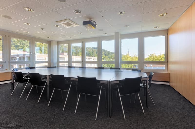large oval table, black chairs, large windows, projector