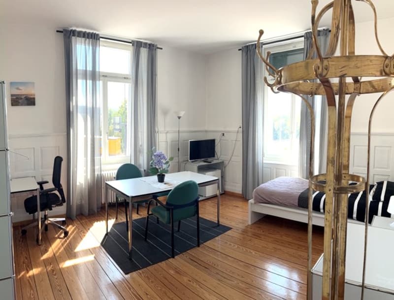 Schönes Zimmer mit Blick auf Aare (6)