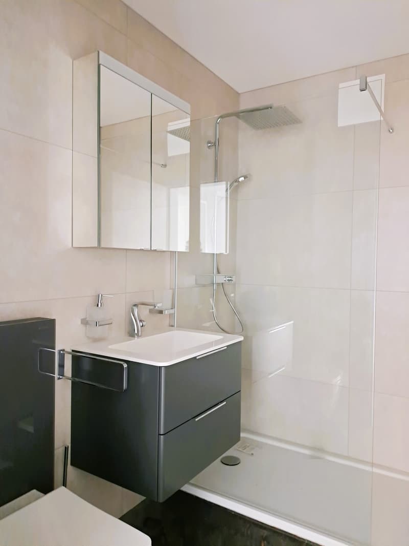 Moderne 2.5-Zimmer-Wohnung direkt neben dem Bahnhof (5)