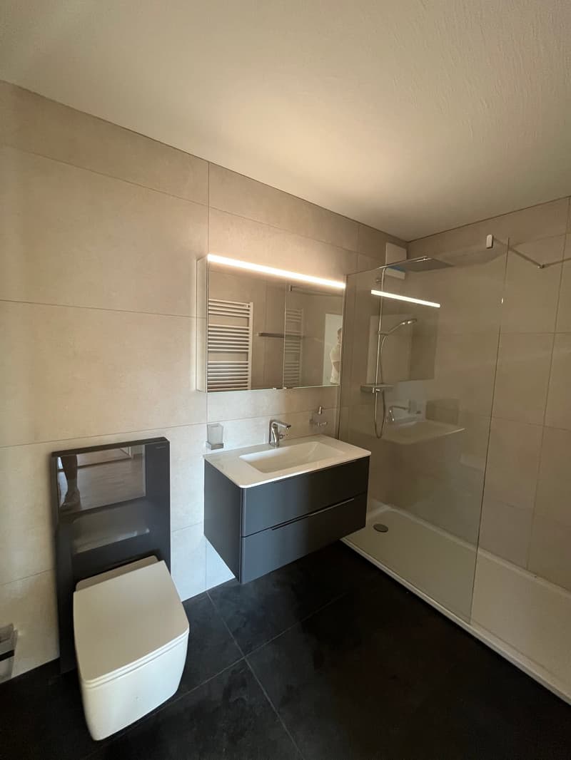 Charmante 4.5-Zimmer-Dachwohnung an der Alten Obfelderstrasse in Affoltern am Albis (4)