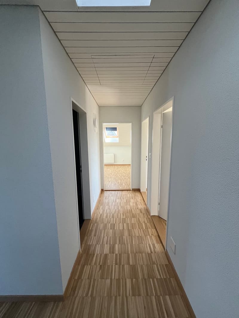 Charmante 4.5-Zimmer-Dachwohnung an der Alten Obfelderstrasse in Affoltern am Albis (10)