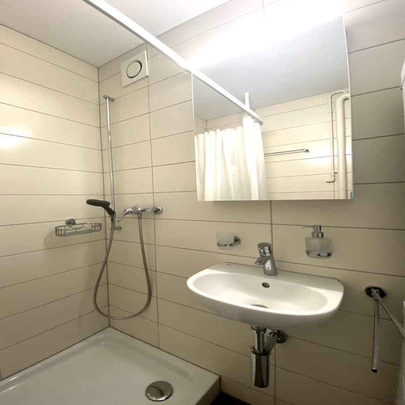 Moderne 3.5-Zimmer-Wohnung in Kleindöttingen/Böttstein (2)