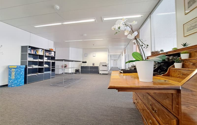 Exklusiv und elegant - Ihr Firmensitz in Baden-Dättwil (3)