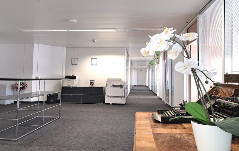 Exklusiv und elegant - Ihr Firmensitz in Baden-Dättwil (4)