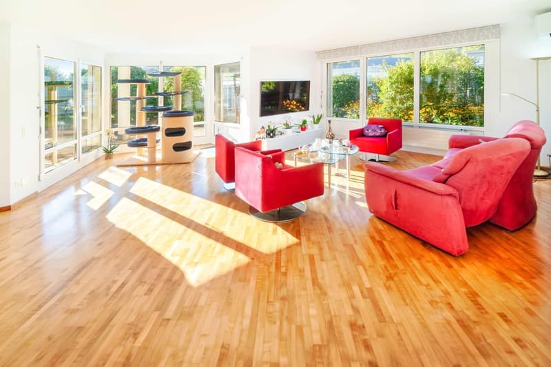 5.5 Zimmer Attikawohnung mit 550 m² Gartenterrasse, ein Traum.... (3)