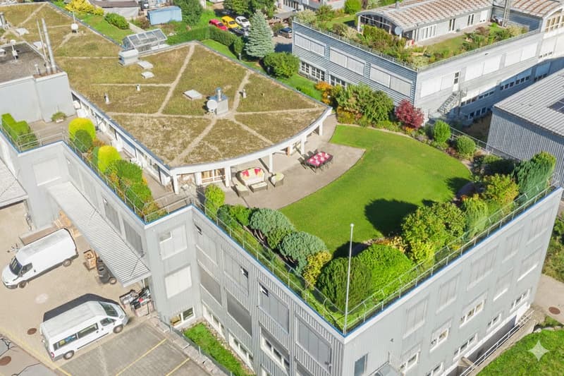 5.5 Zimmer Attikawohnung mit 550 m² Gartenterrasse, ein Traum.... (8)