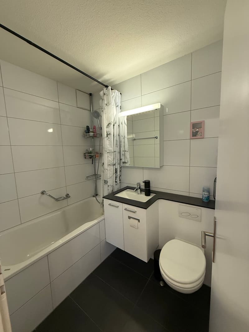 Helle 3.5 Zimmer Wohnung mit Balkon in Regensdorf per 1. Sept. mieten (12)