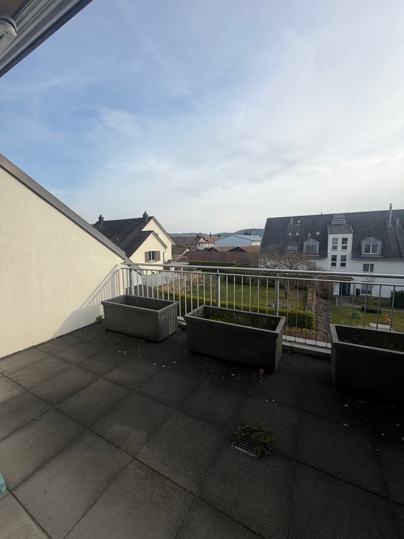 Balcony with metal railings, large outdoor planters, square tiles, shadow of the house