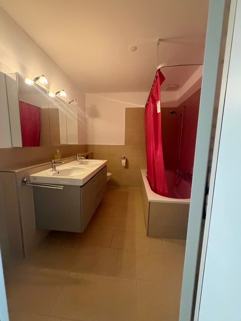 White bathroom with grey vanity, sink with two faucets, toilet, bathtub, shower with red curtain