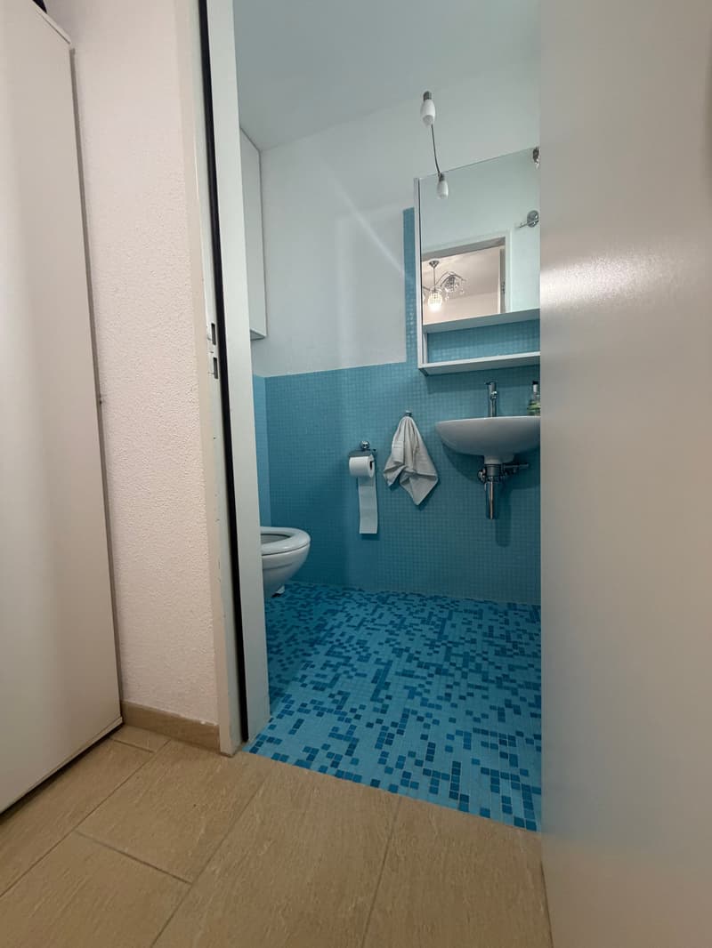 Compact bathroom, blue tiles, white sink, white toilet, blue walls
