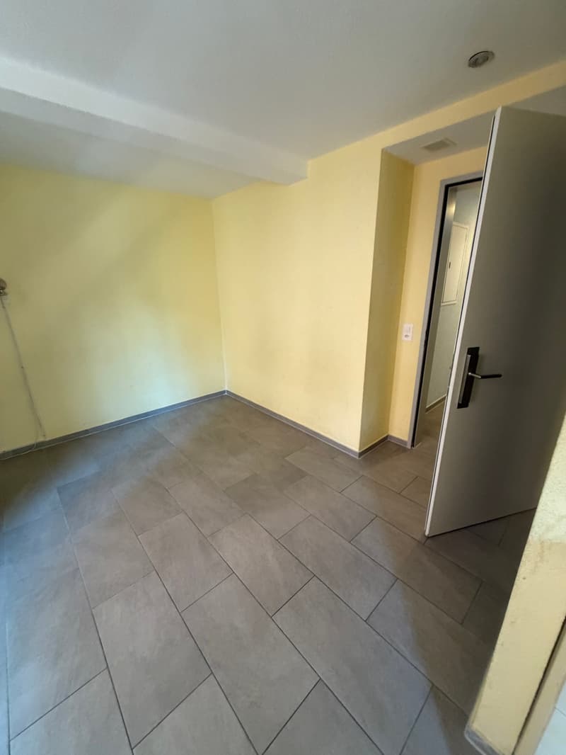 Charmantes 1,5-Zimmer-Apartment an zentraler Lage im Zürcher Kreis 5 (3)