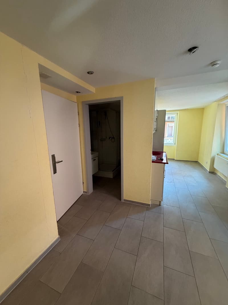 Charmantes 1,5-Zimmer-Apartment an zentraler Lage im Zürcher Kreis 5 (2)