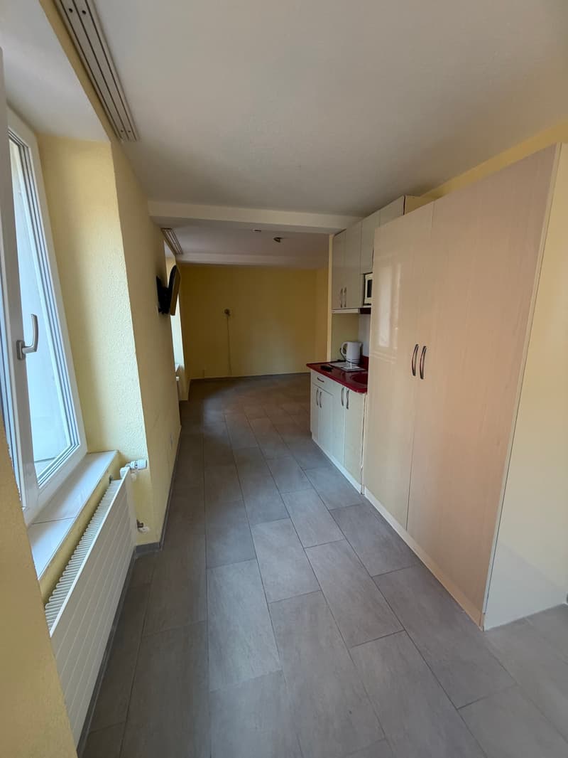 Charmantes 1,5-Zimmer-Apartment an zentraler Lage im Zürcher Kreis 5 (4)