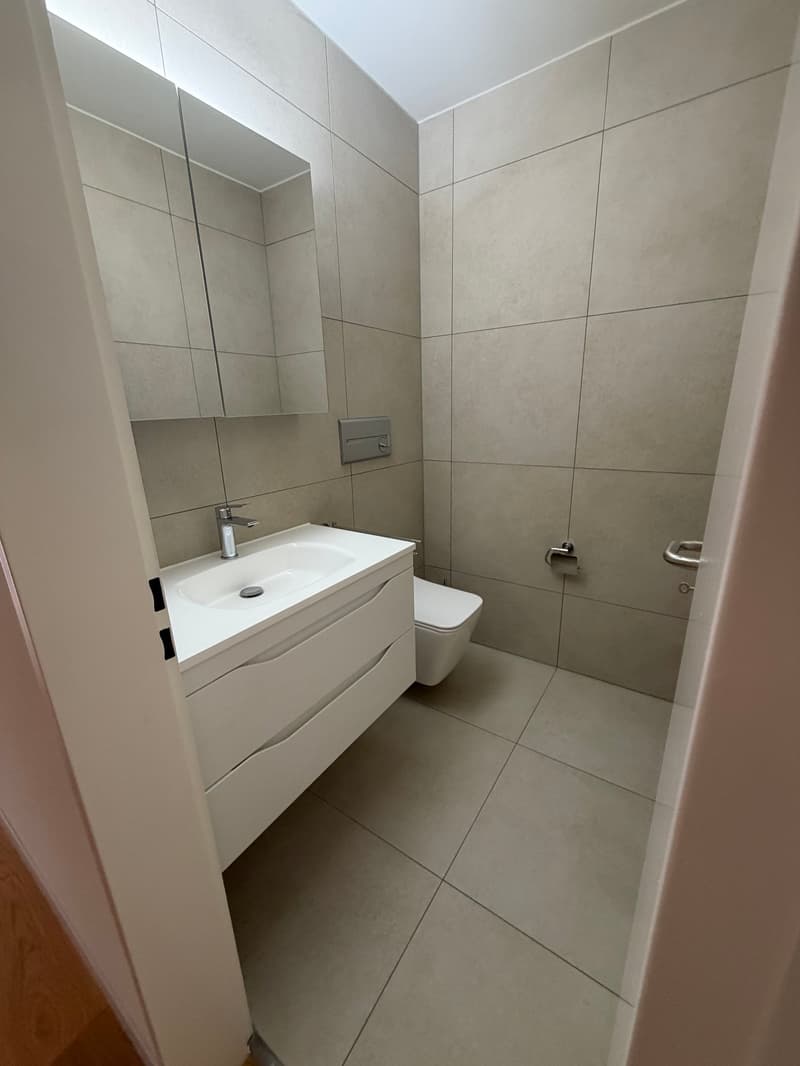 Helle 3-Zimmer-Wohnung mit Balkon und Pool in Zürich-Oerlikon (11)