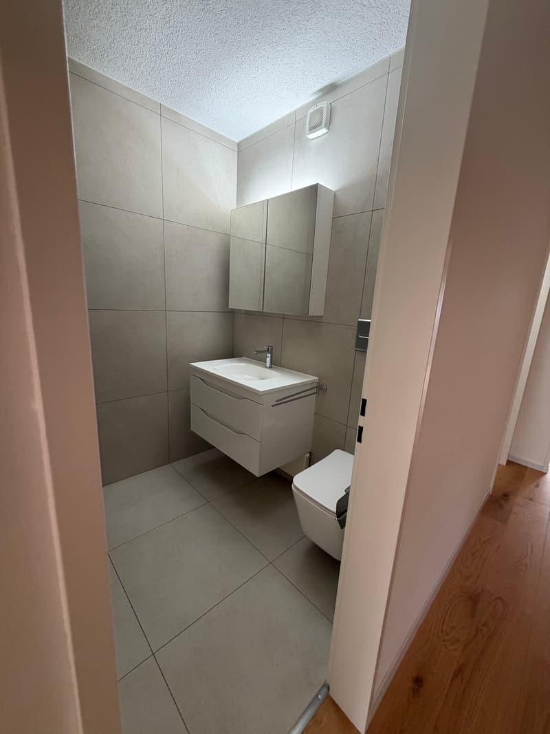 Helle 3-Zimmer-Wohnung mit Balkon und Pool in Zürich-Oerlikon (10)