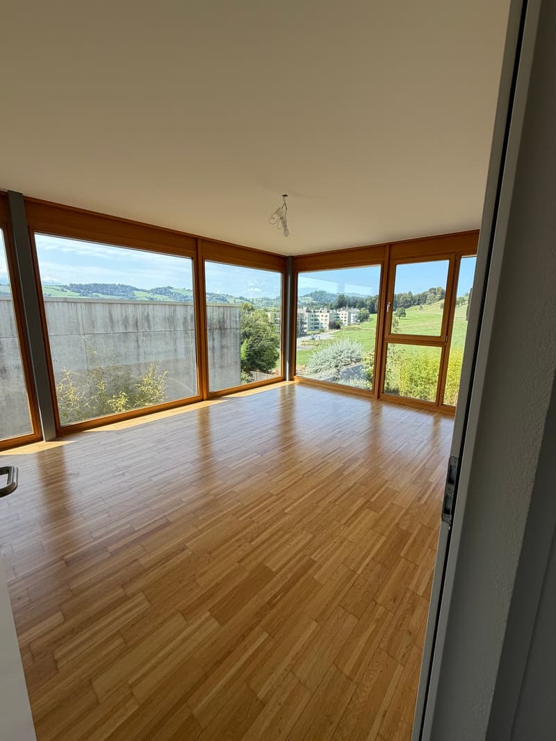 Modernes 5-Zimmer-Reihenhaus mit grossem Garten und hochwertiger Ausstattung in Abtwil SG (12)