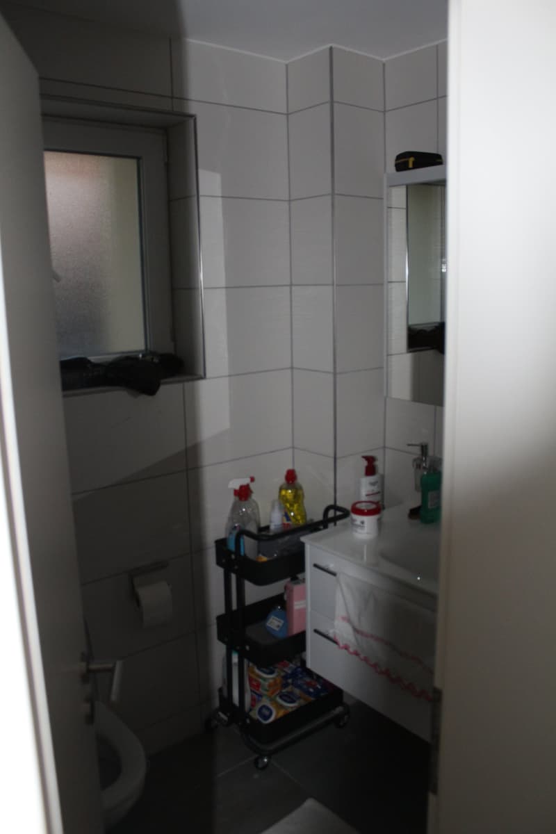 Gepflegte 2-Zimmer-Wohnung im Erdgeschoss in ruhiger Lage in Oberhasli (5)
