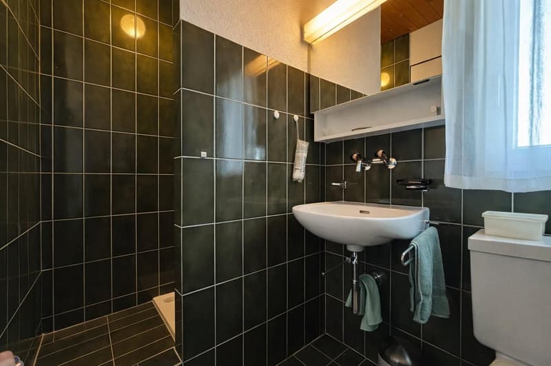 Familienfreundliches Doppeleinfamilienhaus mit Wintergarten und schöner Aussicht in Hinteregg (13)