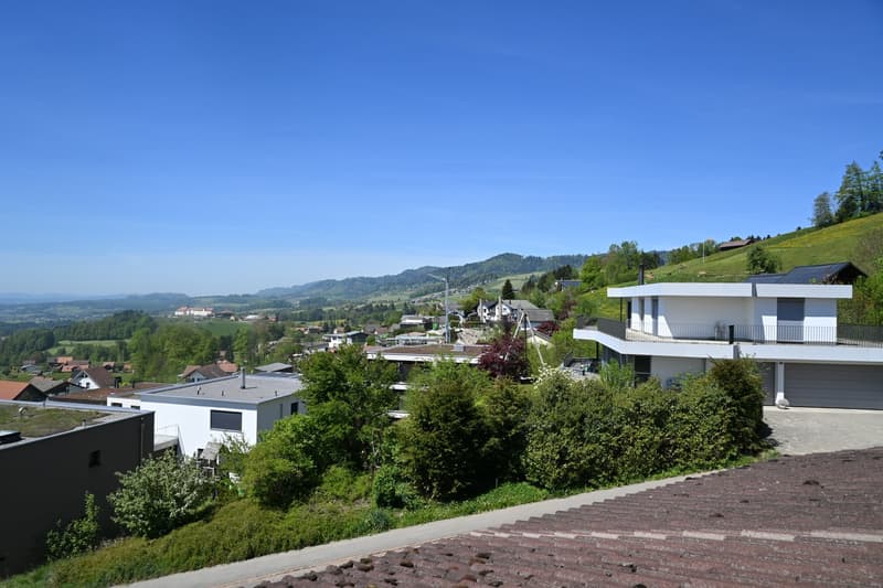 Gemütliche 2.5-Zimmer-Dachwohnung mit schöner Aussicht in Uetliburg (1)