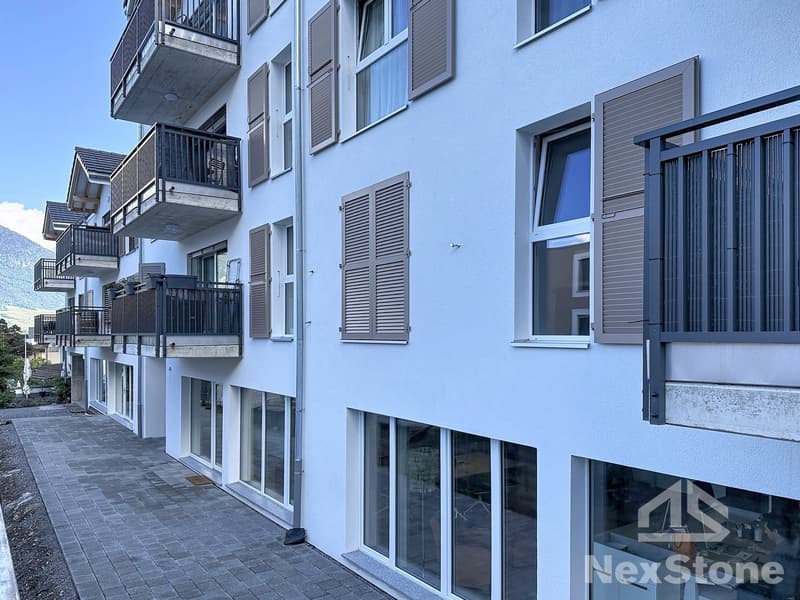 4.5 pièces neuf avec terrasse (10)