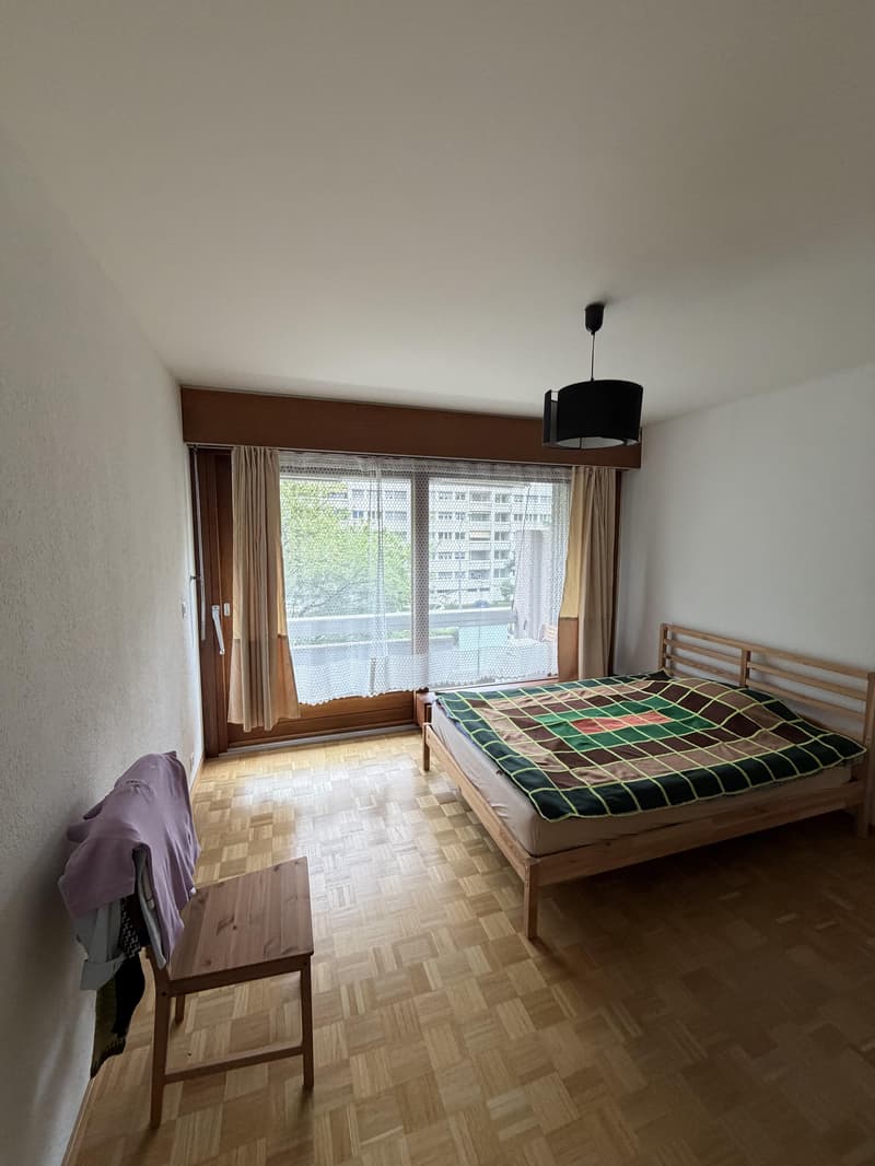 3.5 Appartement chambre Dans Genève (5)