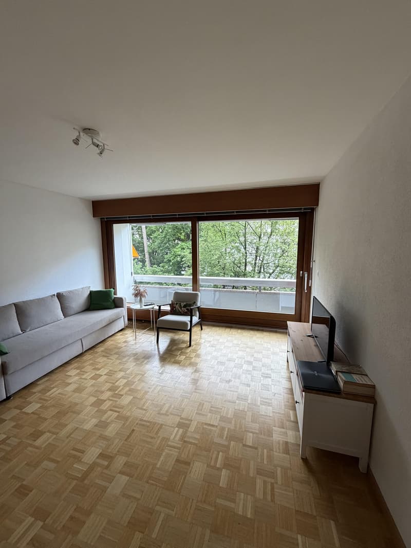 3.5 Appartement chambre Dans Genève (2)