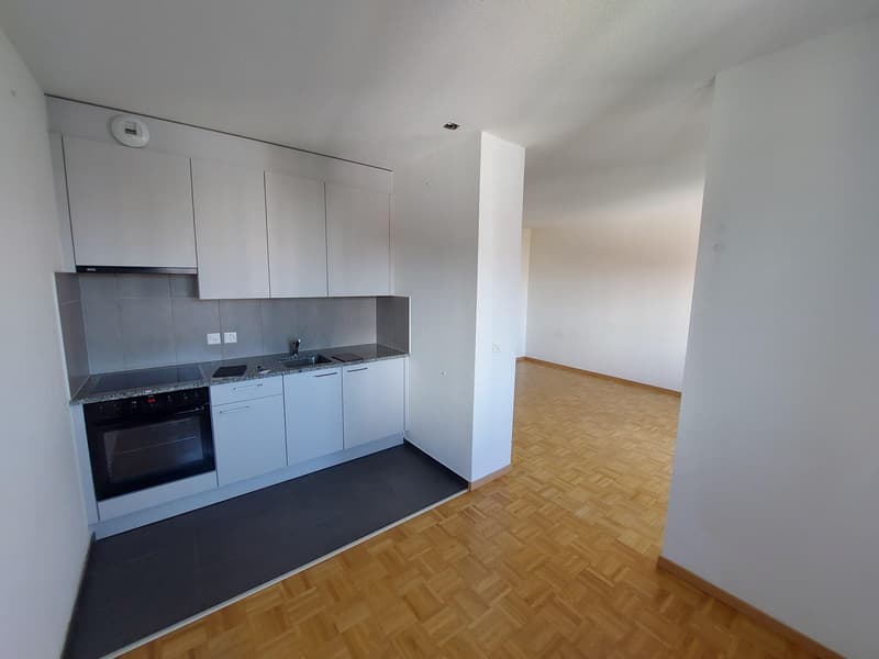 2.0 Appartement chambre Dans Vernier (3)