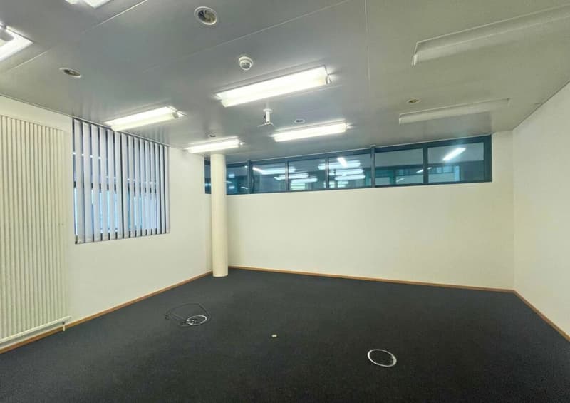 Im Herzen von Aarau | Apfelhausenweg 10 | 374 m² (10)